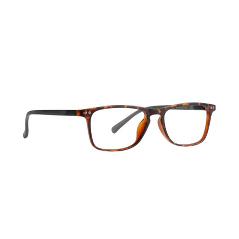 Magnivision Готови очила за четене +1.50 с калъф, P15886/06