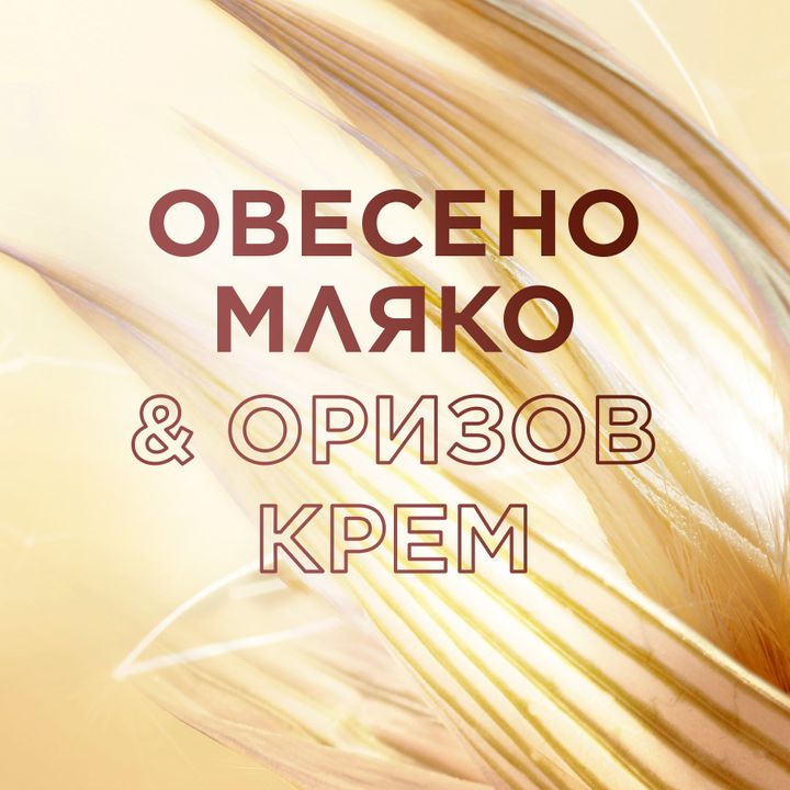Garnier Botanic Therapy Oat Delicacy Успокояващ шампоан за деликатна коса и скалп x400 мл