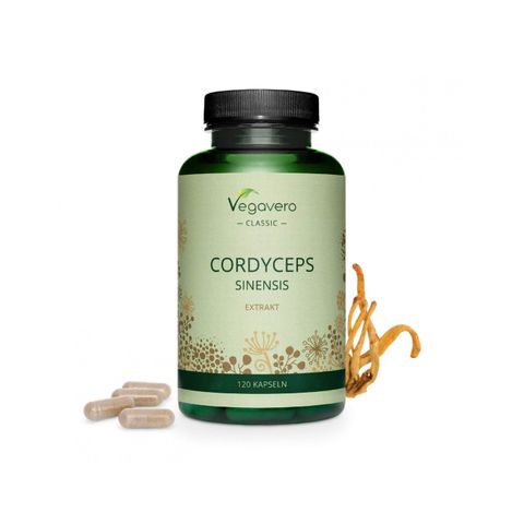 Cordyceps Sinensis Extrakt Кордицепс екстракт x120 капсули, Vegavero