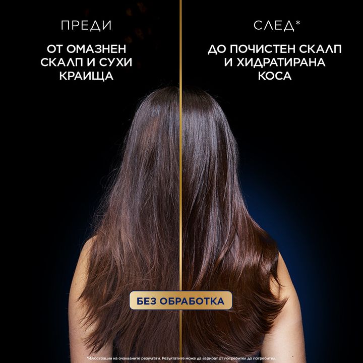 Garnier Botanic Therapy Magnetic Charcoal Шампоан за мазен скалп и сухи краища x250 мл